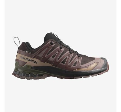 Ανδρικά παπούτσια SALOMON XA PRO 3D V9 GORE-TEX L4758350 BLACK COFFEE / RUM RAISIN / OLIVE NIGHT