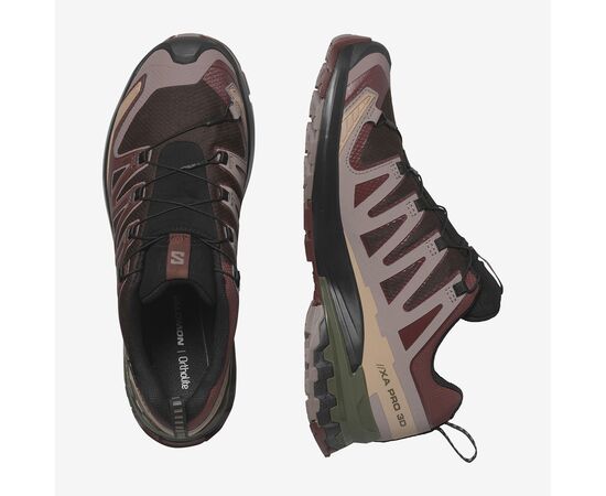 Ανδρικά παπούτσια SALOMON XA PRO 3D V9 GORE-TEX L4758350 BLACK COFFEE / RUM RAISIN / OLIVE NIGHT
